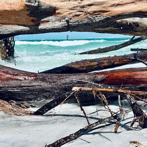 Meet your Posher, Sammi